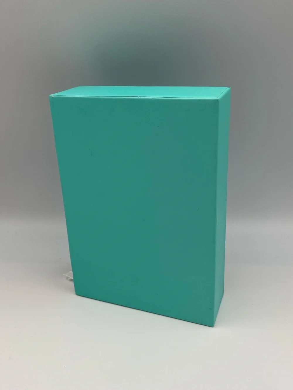 *New* Tiffany & Co. Set of 3 Mini Notebooks - Blank, Graph, and Lined Paper